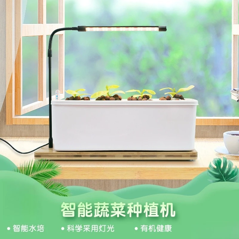 

Indoor Hydroponic Growing Box - Soil-free Plant Pot Kit for Home Balcony & Desktop Flower Cultivation