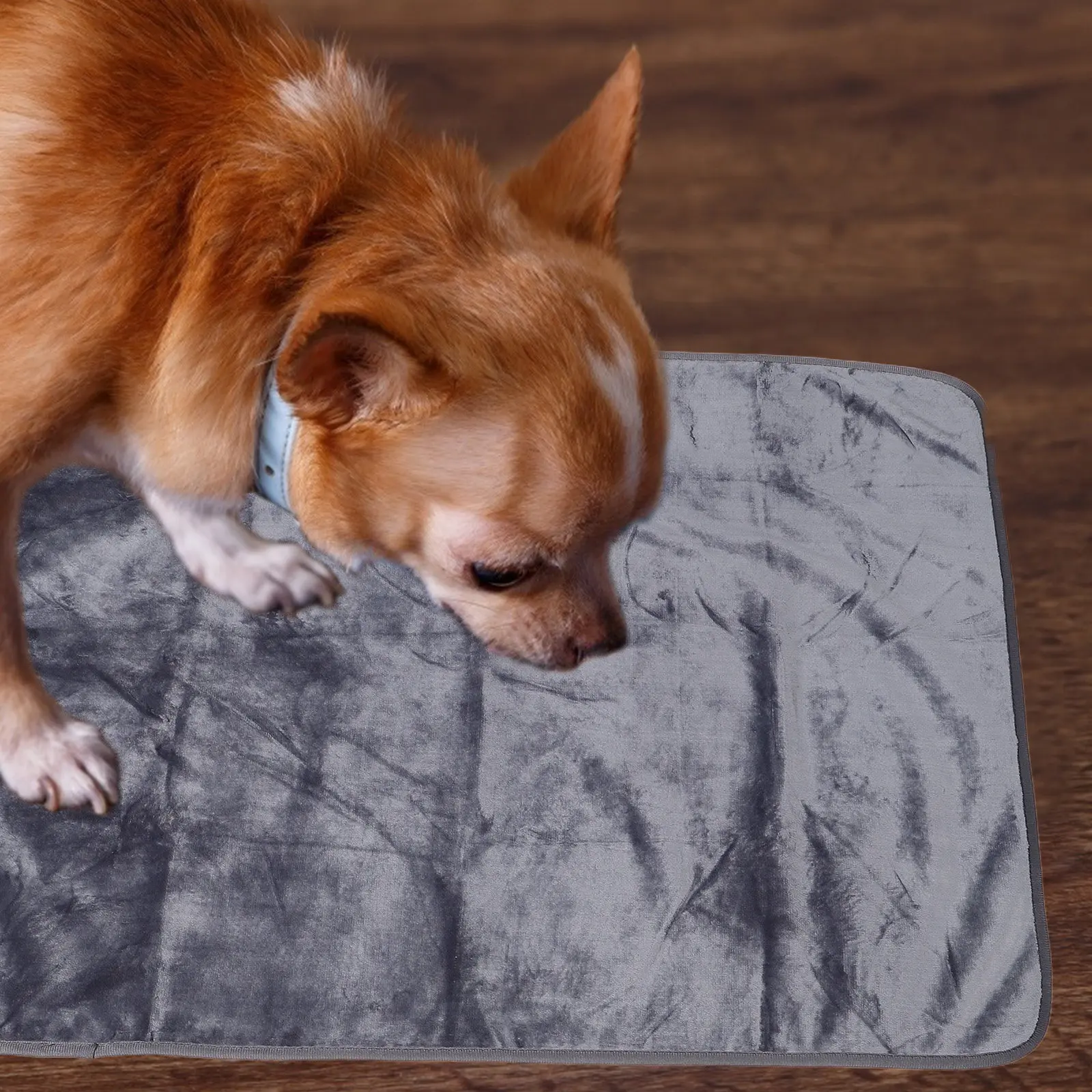 Waterproof Pet Blanket 100x75cm Soft Washable Dog Bed Cover Couch Sofa Puppy Throw for Furniture Waterproof Dog Blanket for Bed view 5