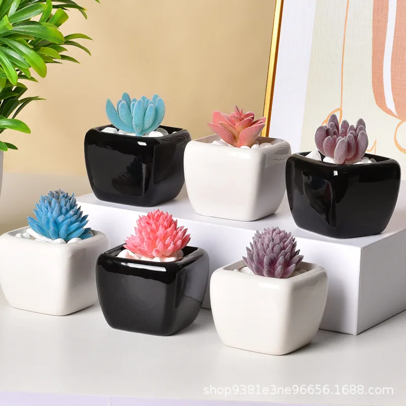 Mini Square Black White Ceramic Succulent Planter, Minimalist Desktop Flower Pot, Small Container for Thumb Plants