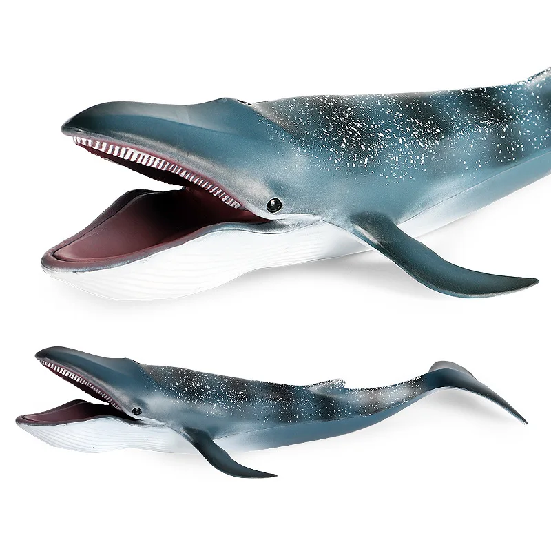 Children's science and education simulation of marine animal model static blue whale shark great white shark toy ornaments