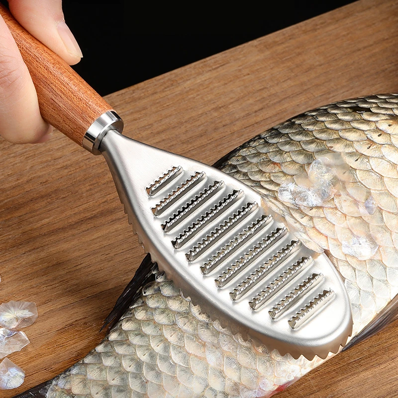 

LFGB Certification 304 Stainless Steel Fish Scale Scraper 2 Side Serrations Fish Scaler Fish Scale Remove Tool Ginger Masher