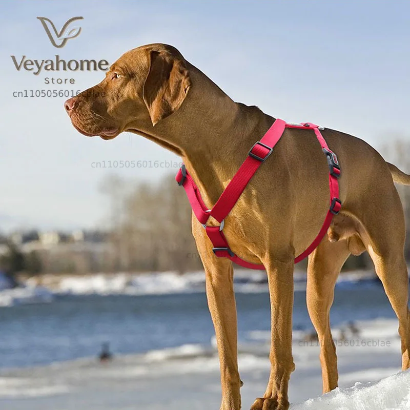 Leisure H-shaped Dog Pectoral Collar Dog Harnesses for Small Dogs Medium and Large Pitbull Pug Dog Vest Strap Collar for Dogs