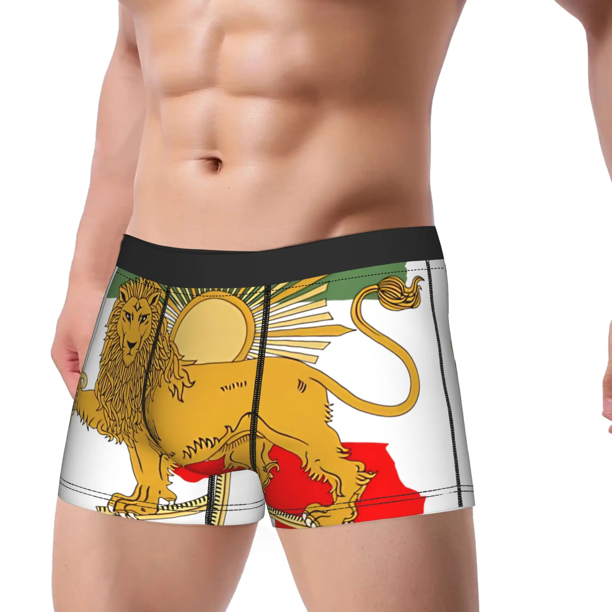 Novelty Boxer Iran Persia Map Flag Shir o Khorshid Lion and Sun Shorts Panties Briefs Men Underwear Underpants for Homme S-XXL