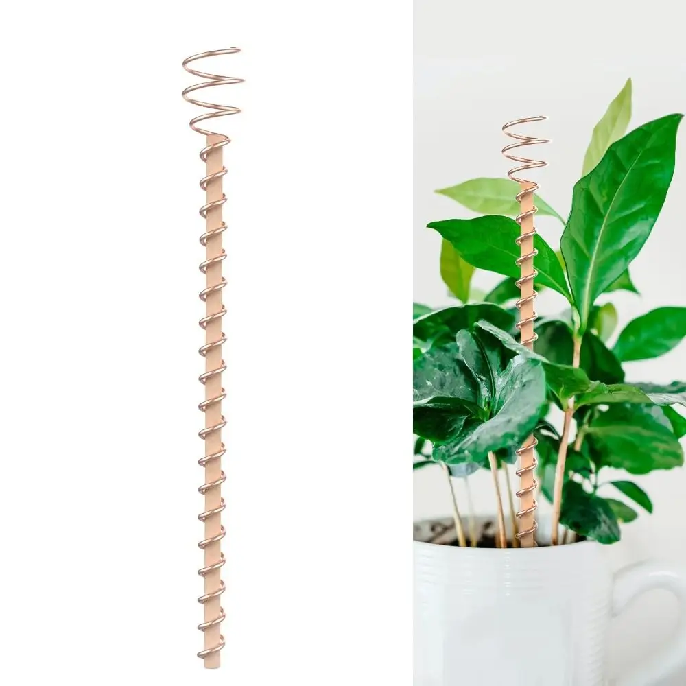 Bonsai Copper Electroculture Plant Stakes Wire Coil Wood Rod Gardening Copper Coil Antennas Plant Support Frame Garden