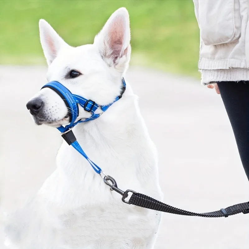 Thumbnail 4 - #8 Top Rated Dog Muzzles to Buy in 2026