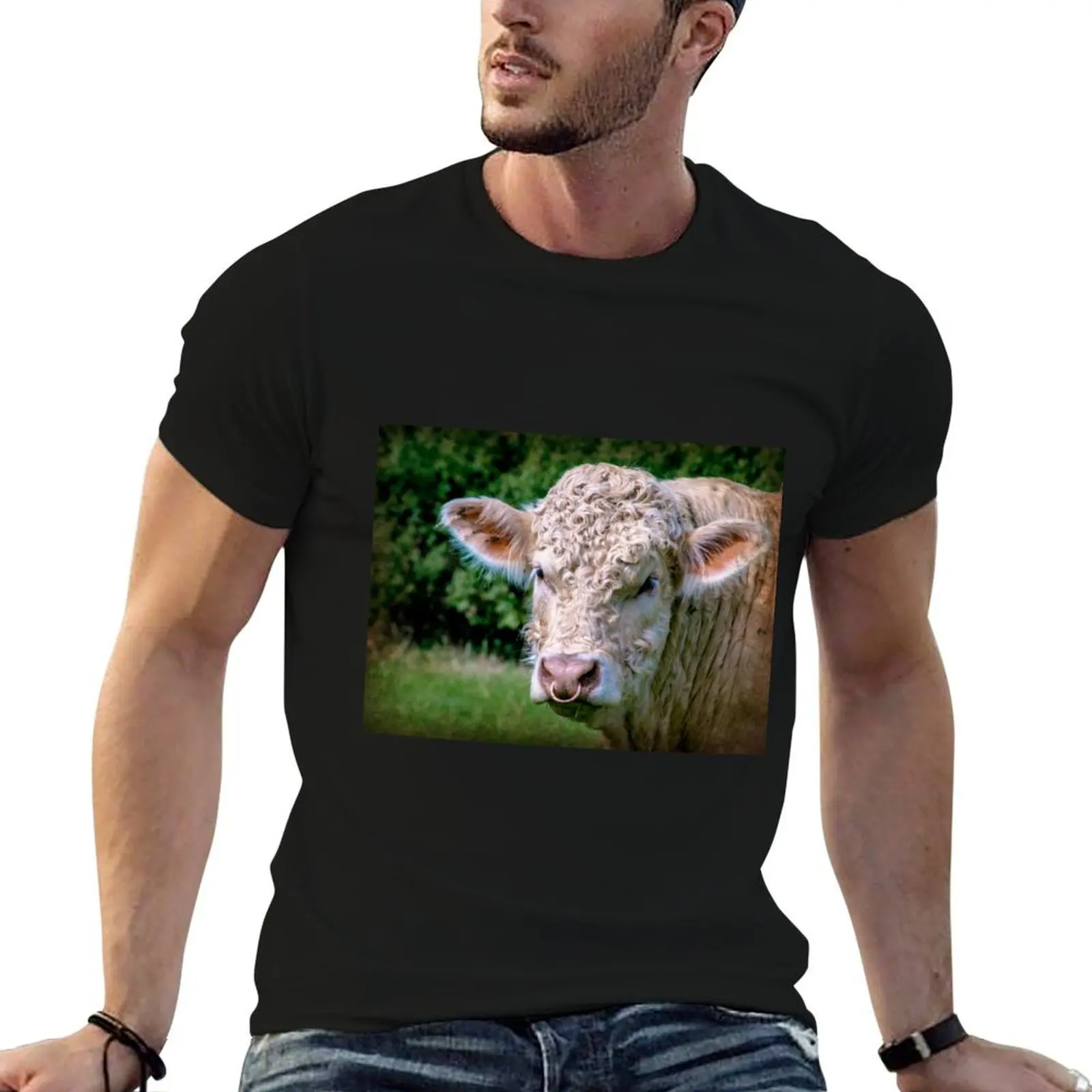 Camiseta Charolais Bull, camisetas estampadas para hombre, camisetas para hombre, camiseta esencial ajustada, camiseta