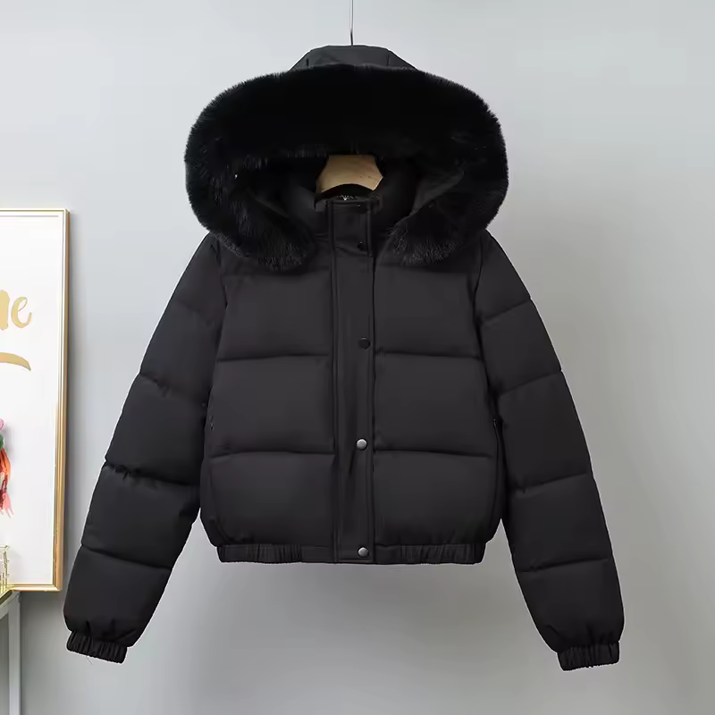 겨울 짧은 파카 여성용 면 패딩 의류