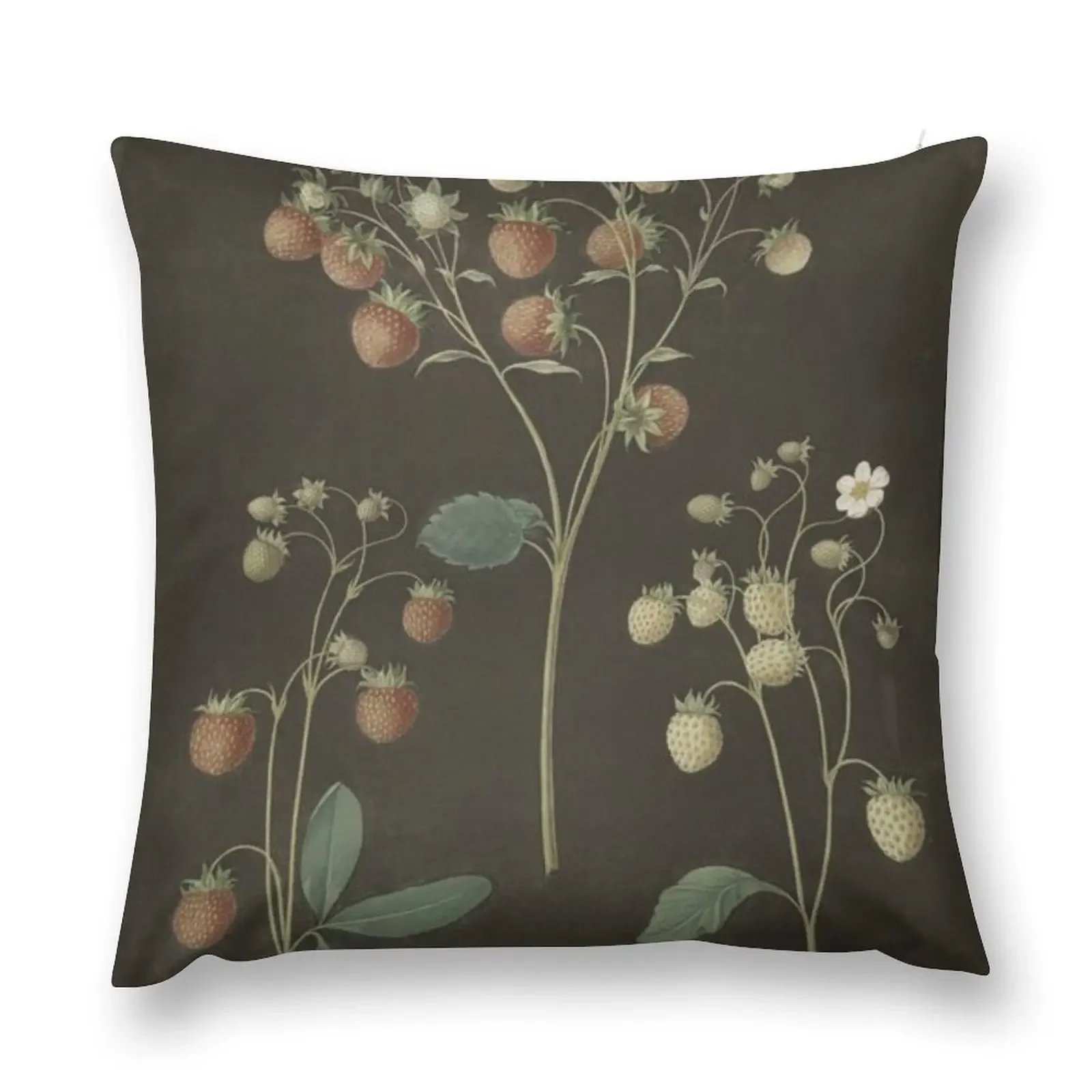 

Botanical Wild Strawberry Throw Pillow autumn pillowcase Custom Cushion Photo Pillow Cases Decorative home decor items pillow