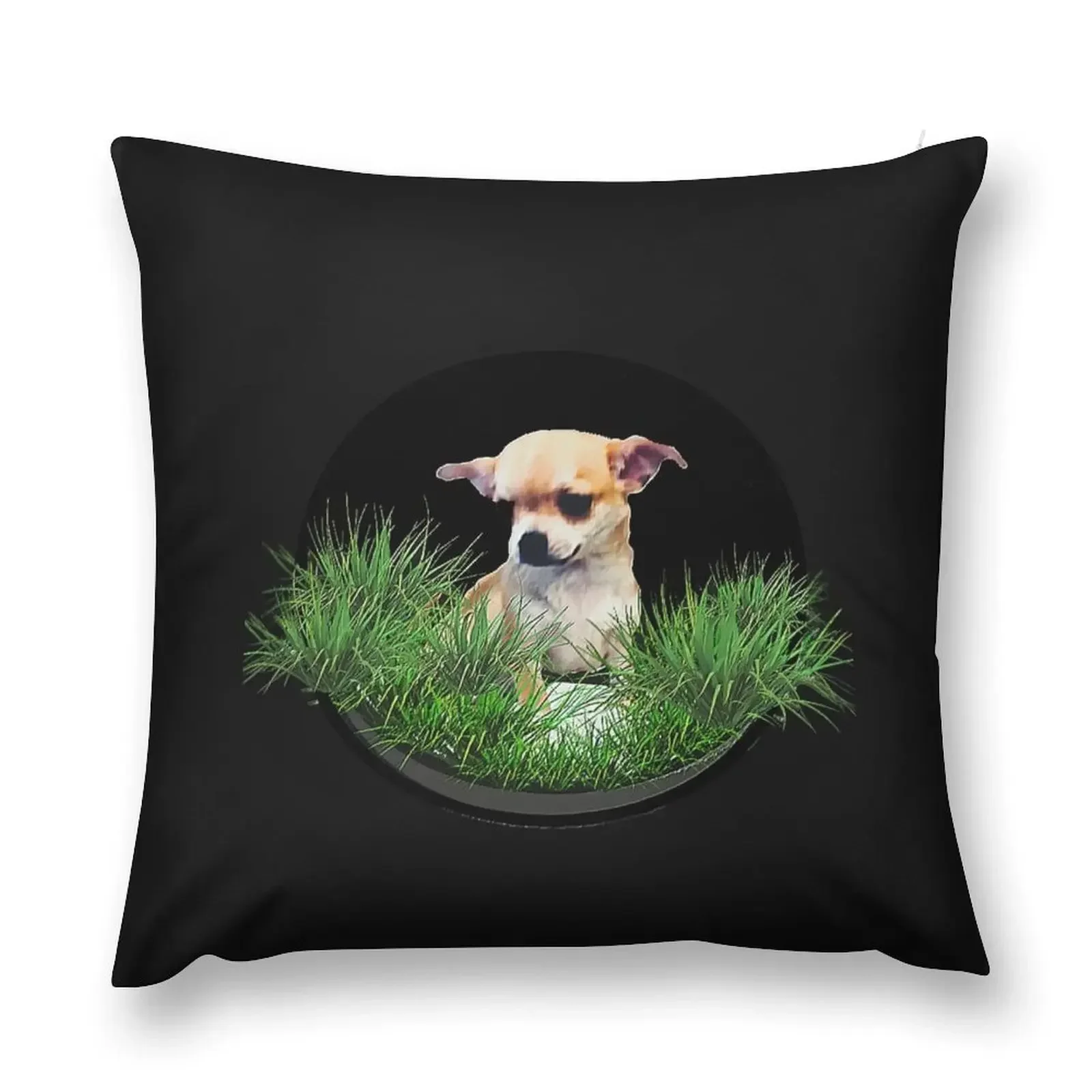 Chihuahua Puppy Dog photograph Throw Pillow Decorative Cushion Sofa Cushion Cover Cushions Cover pillow