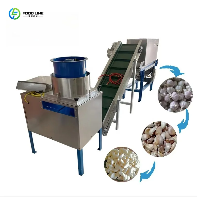 Customized Automatic Garlic Bulb Crushing Separating Onion Scallion Peeling Machine