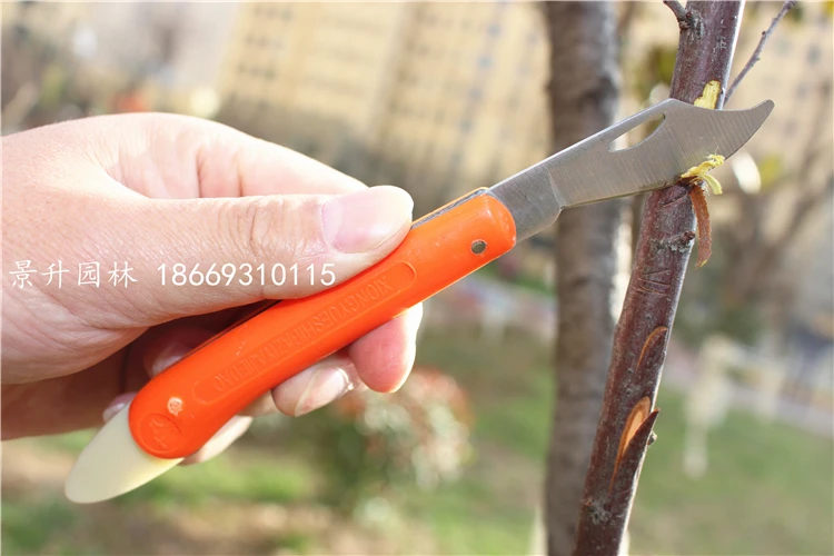 Fruit tree ring cutter, seedling branch ring bud grafting knife, bud grafting knife