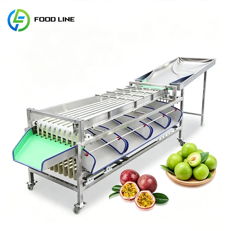 Fruit Grading Machine Produce Sorter Size Grader for Avocado Mango Orange Pear Apple Tomato Customized