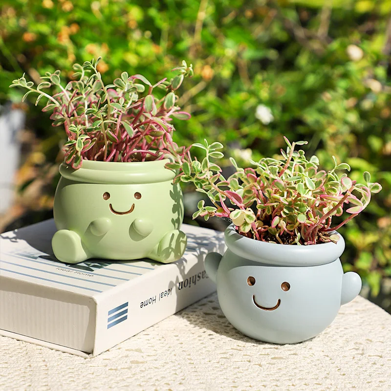 Smiley Face Flower Pot for Succulents Cactus Mini Bonsai Planter, Creative  Garden Pots Decorative Figurines Home Desktop Decor - AliExpress 15