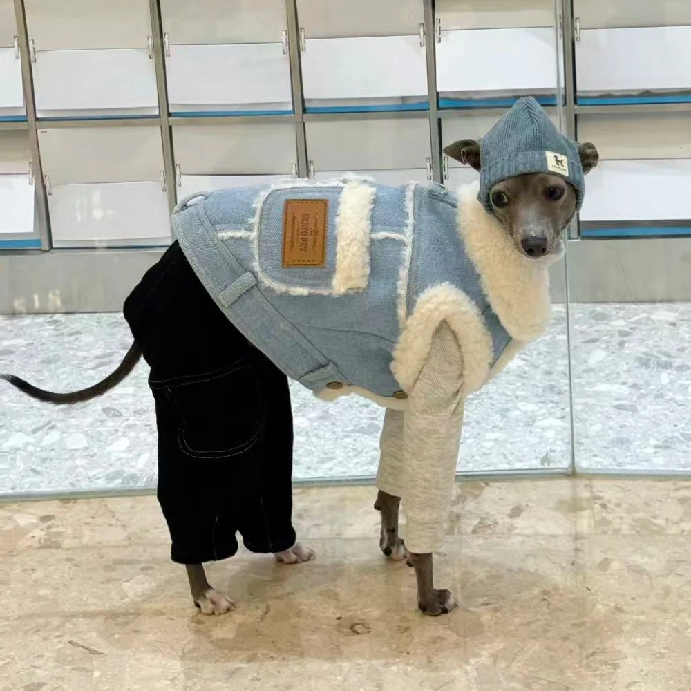 Chaqueta vaquera de invierno de pequeño galgo italiano, chaleco grueso cálido con botones en blanco y azul, ropa de Whippet a la moda, abrigo a prueba de viento para perros