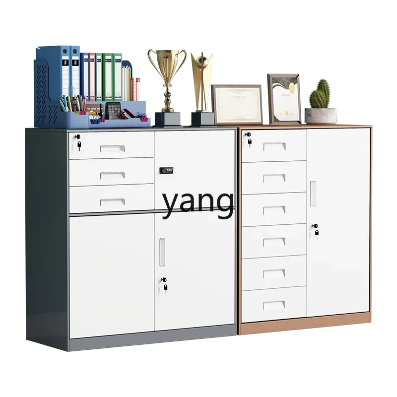 ZL partial five-bucket file cabinet, iron short cabinet with lock, data cabinet, drawer, locker