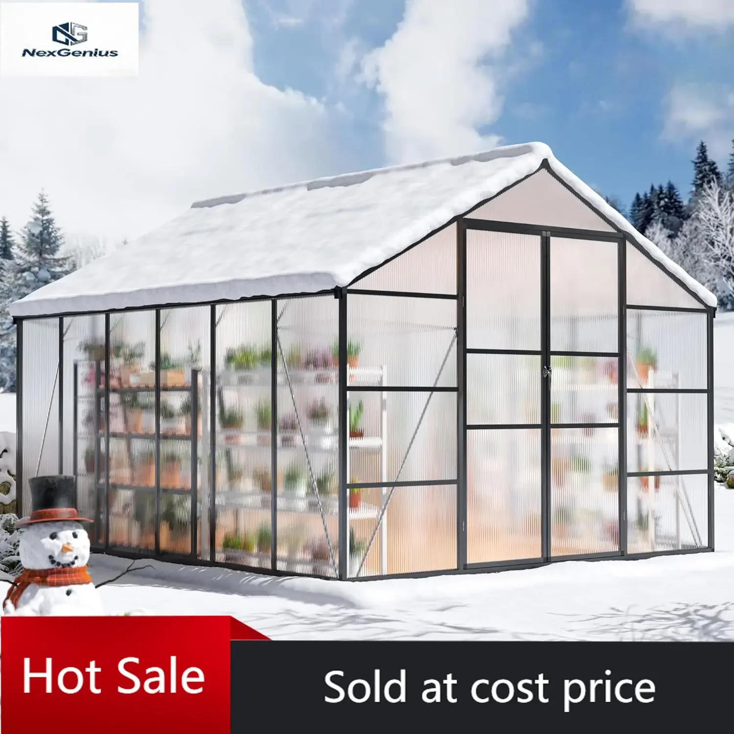 

10x12 FT Greenhouse, Enhanced Aluminum Frame Greenhouses for Outdoors Withstands Strong Wind or Snow, Green House with Swing Doo