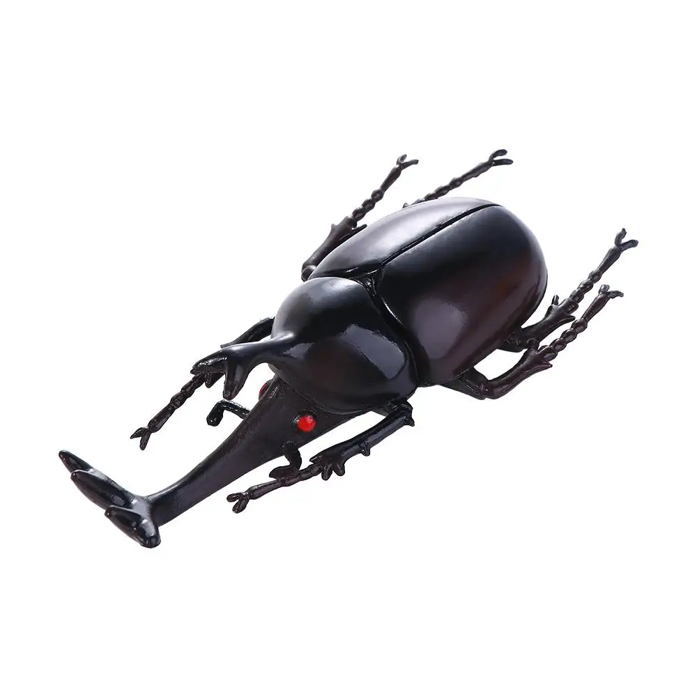 

Коллекция фигурок жуков, игрушки-шутки насекомых, поддельные игрушки-жук-жук, имитация жука, специальная реалистичная модель, модель насекомого