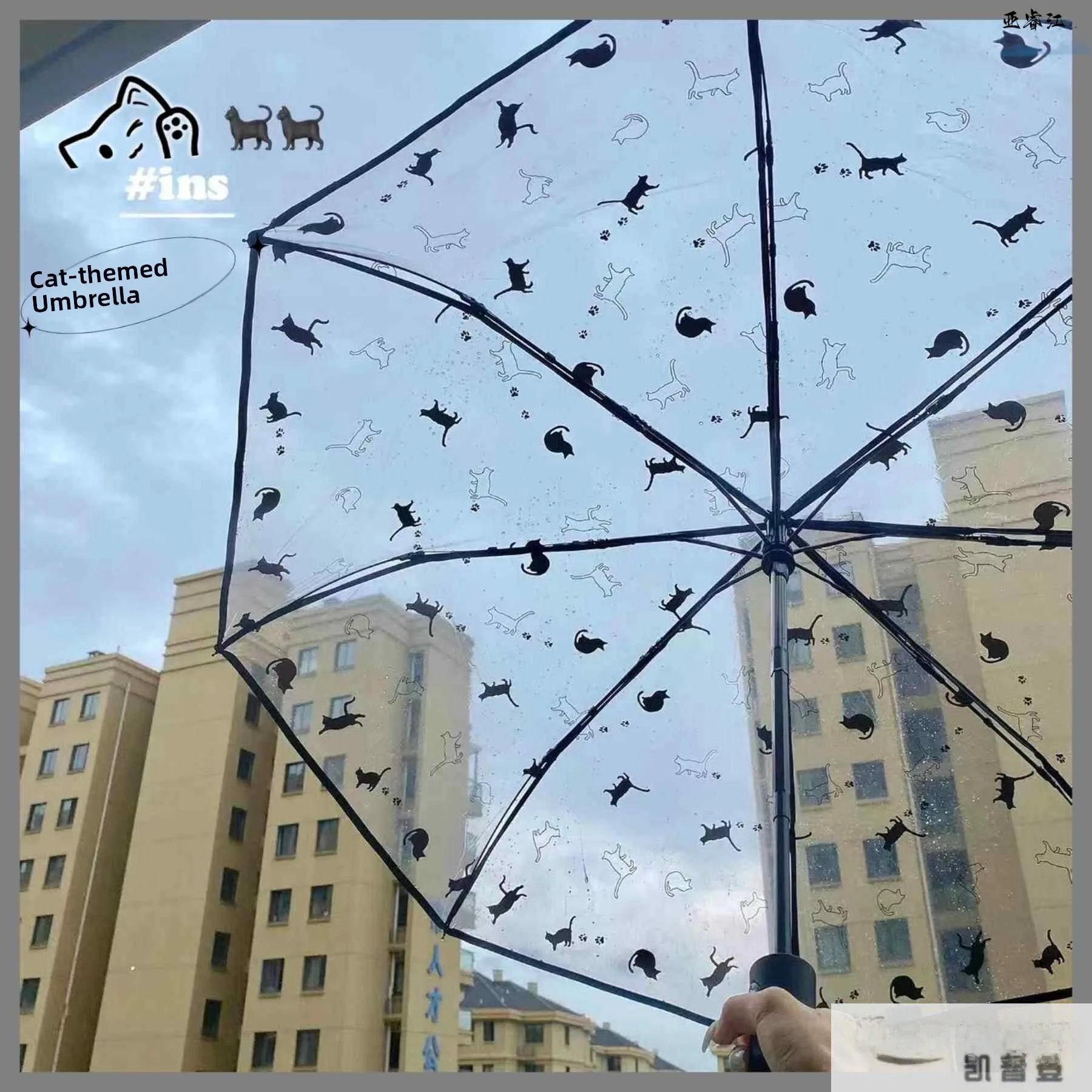 Transparent Long Handle  Umbrella for Girls Auto Open Rain Umbrella High Aesthetic Value Cute  Design Ideal for Women