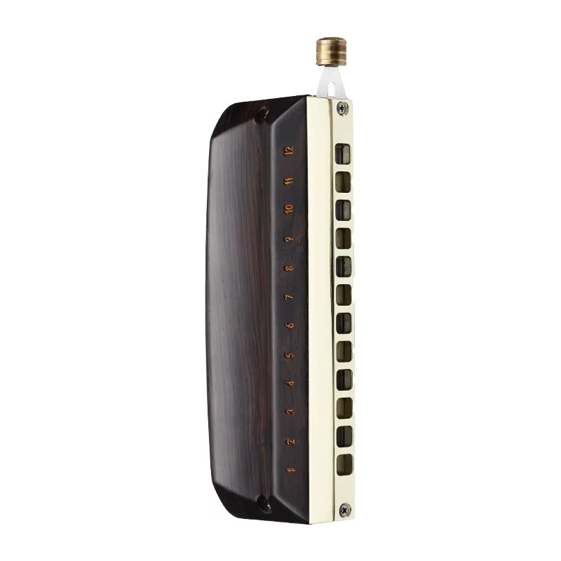 Professional 12-Hole Chromatic Harmonica for Adults for Performances and Musical Instrument Use