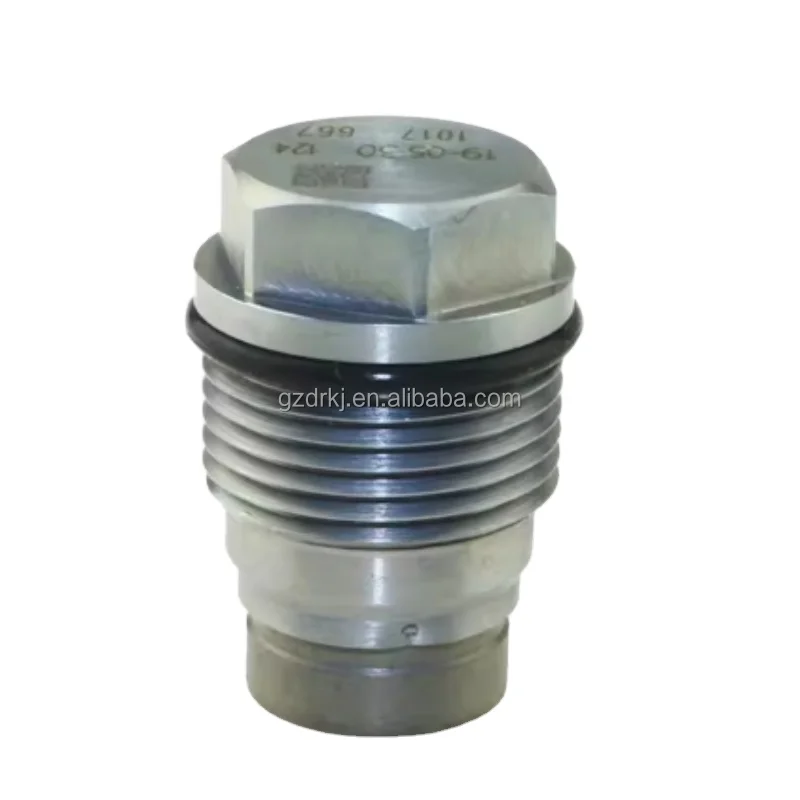 

Genuine Quality Pressure Relief Valve 1110010013 For Diesel Fuel Pump