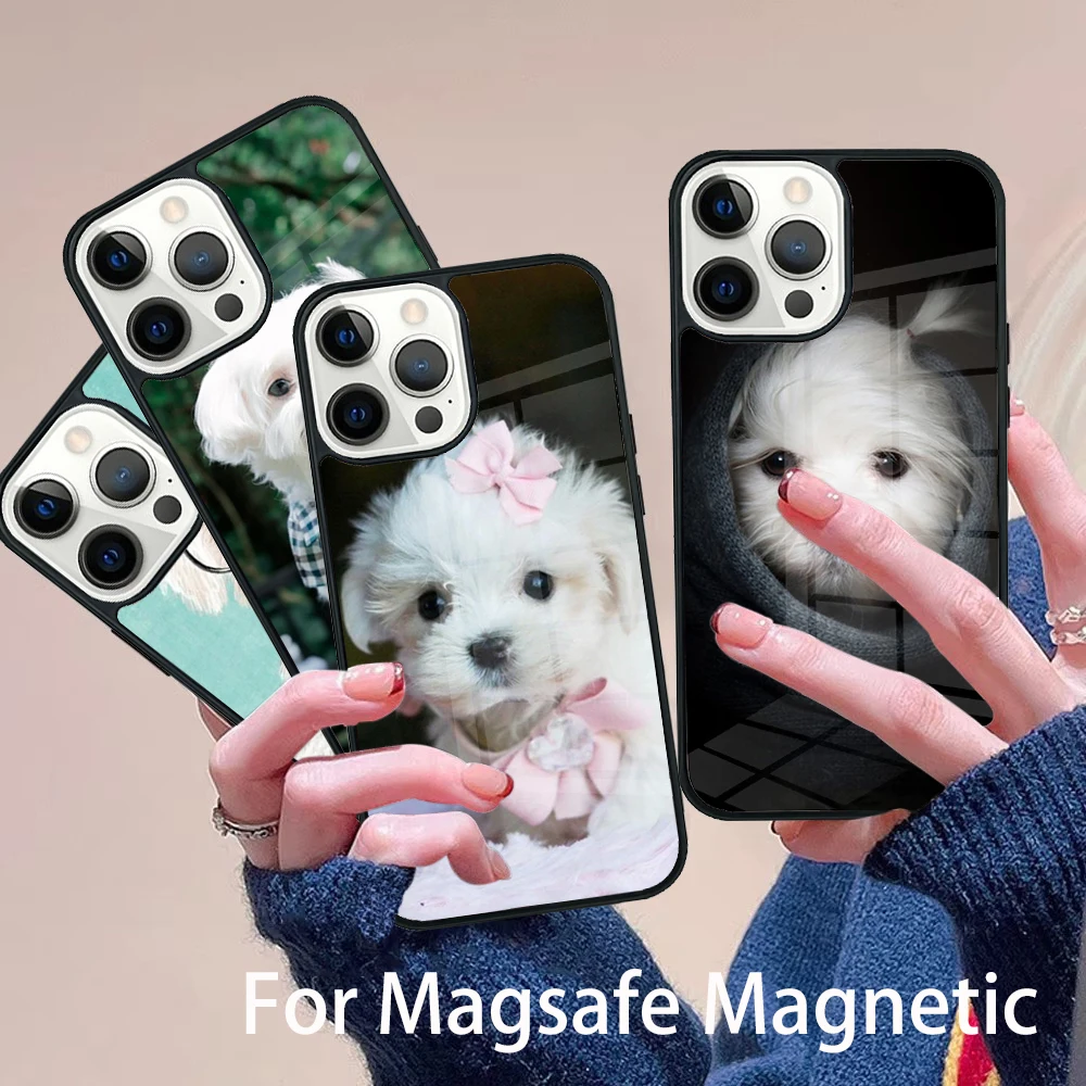 

Maltese Dog Puppy Phone Case Magesafe Magnetic Wireless Charge Cover For IPhone 16 11 12 13 14 15 Pro Max Plus Mini