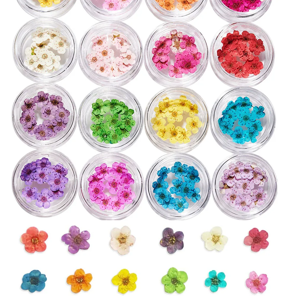 10PCS 3D Nail Dried Flowers Sticker Five Petal Flower 16 Colors Natural Real Dry Flower Nail Stickers for DIY Nails Decorations