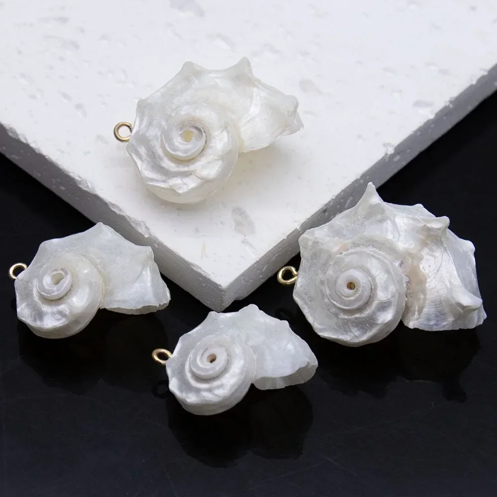 Natural Shell White Conch Pendant - Large Animal Shape for DIY Jewelry
