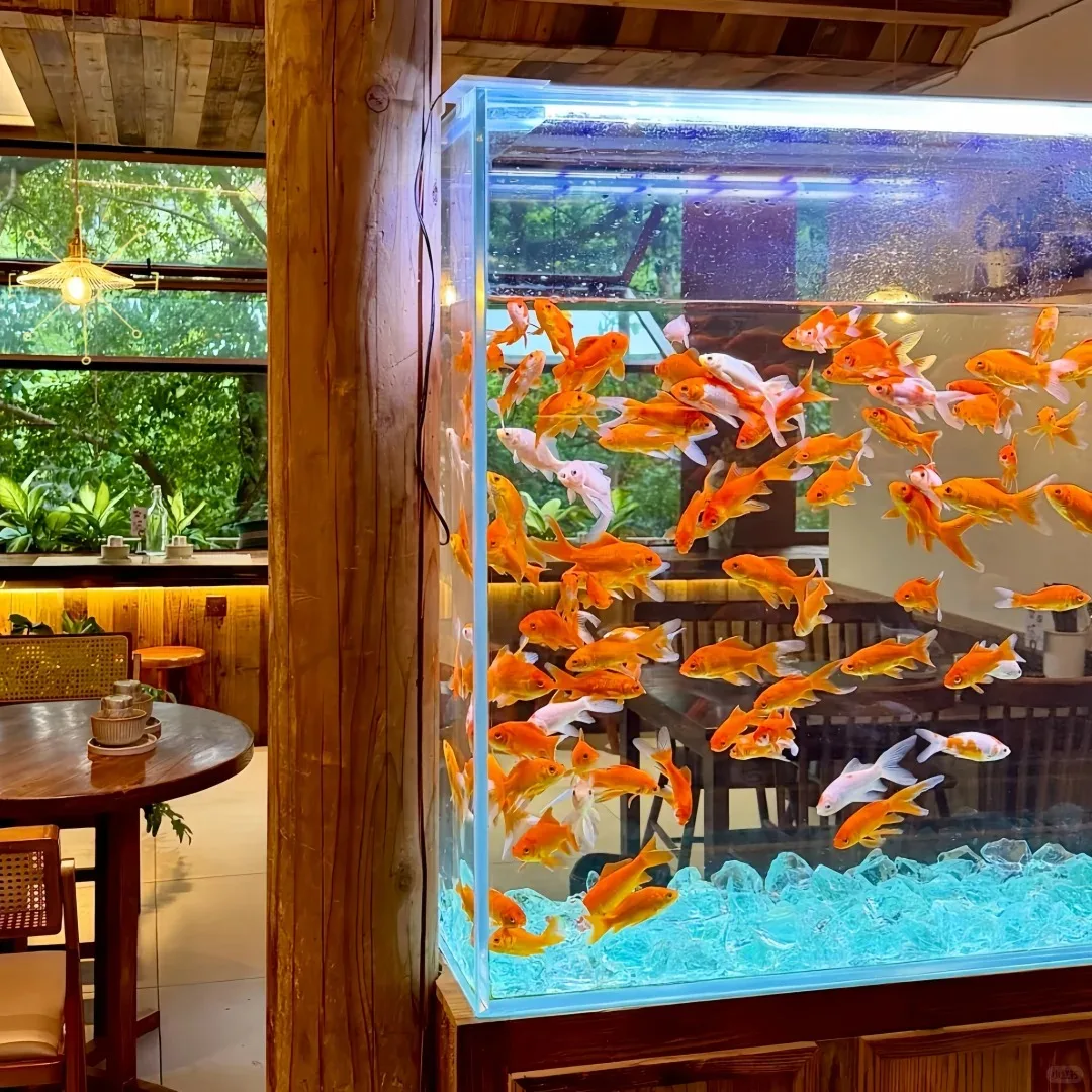 

Medical CE Approved 4 in 1 Multifunction Beauty Machine IPL+RF+Nd Yag+alexandrite Diode Laser Hair Removal Instrument