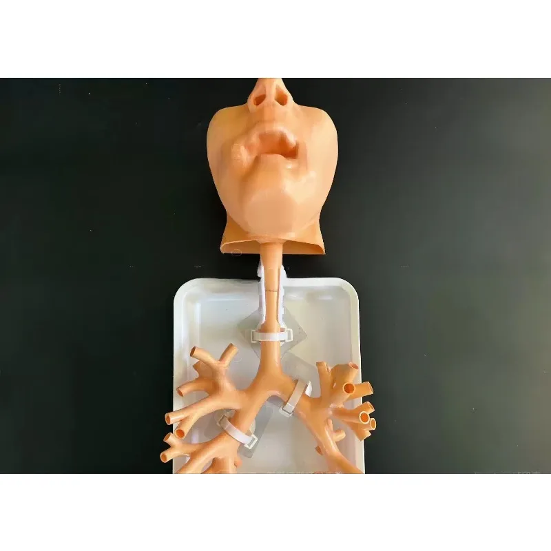 1:1 Bronchoscopy Training Model with Resin Bronchial Tree for Flexible Endoscopy Practice in Medical Education