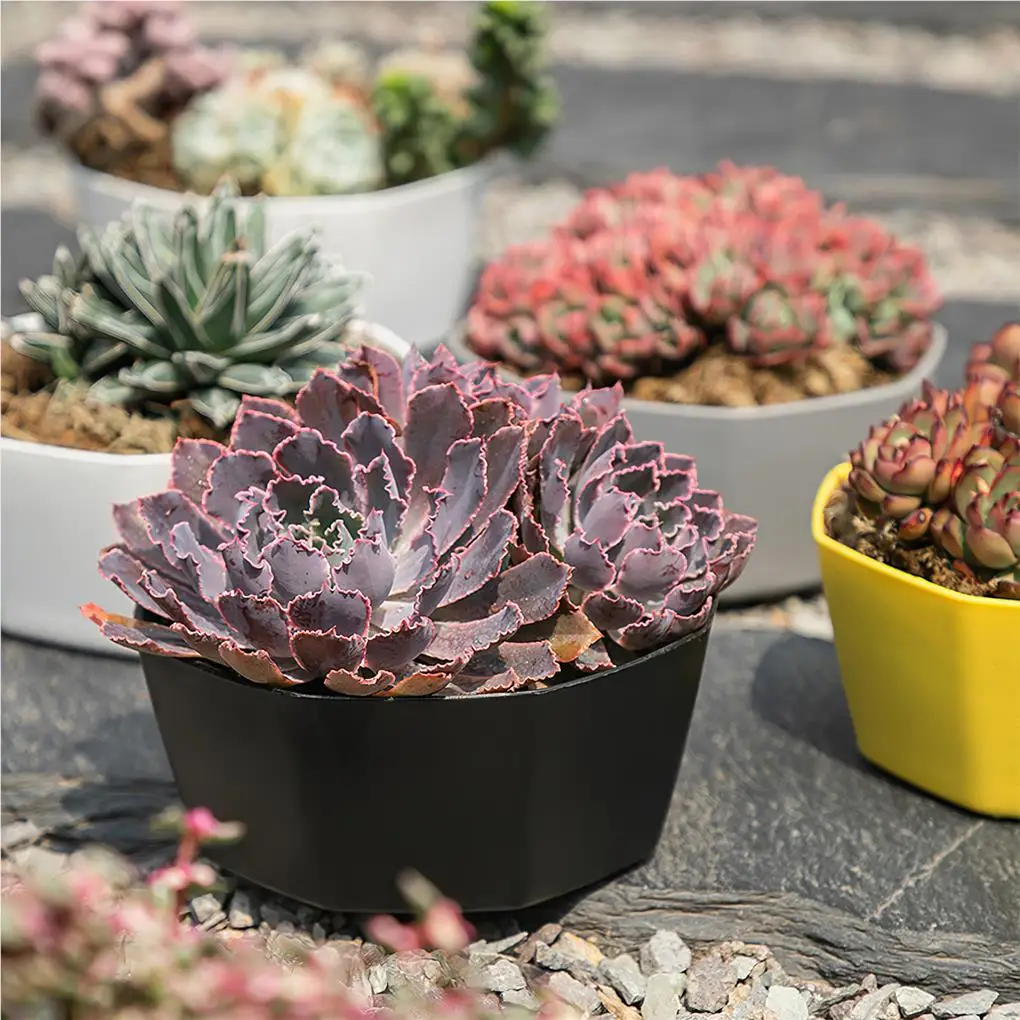 Succulent Planters with Tray Plastic Personality Decorations Flower Pot Large-caliber Style Plants Container Yellow
