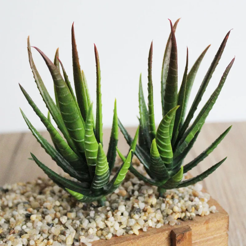 Plantas suculentas artificiales, Aloe Zebrina, paisaje, arreglo de flores falsas, accesorios de decoración del jardín del hogar