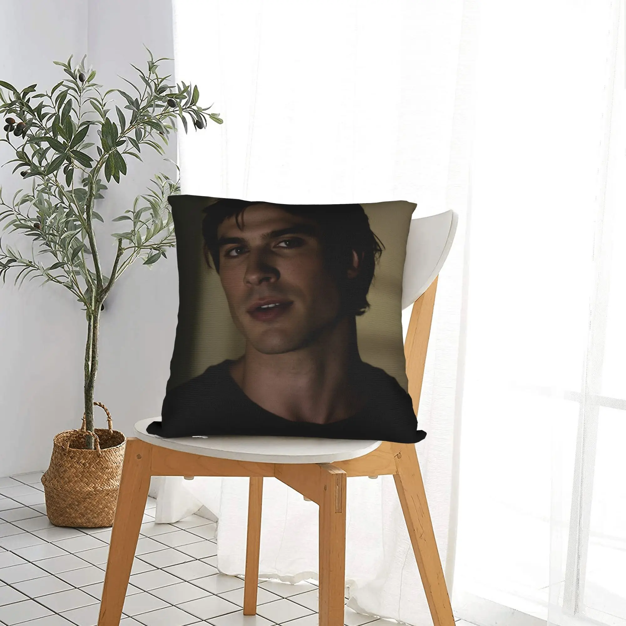 Damon Salvatore The Vampire Diaries  Pillowcases  Morden Pillow Case For Couch Sofa Bedroom Comfy Pillow Cover