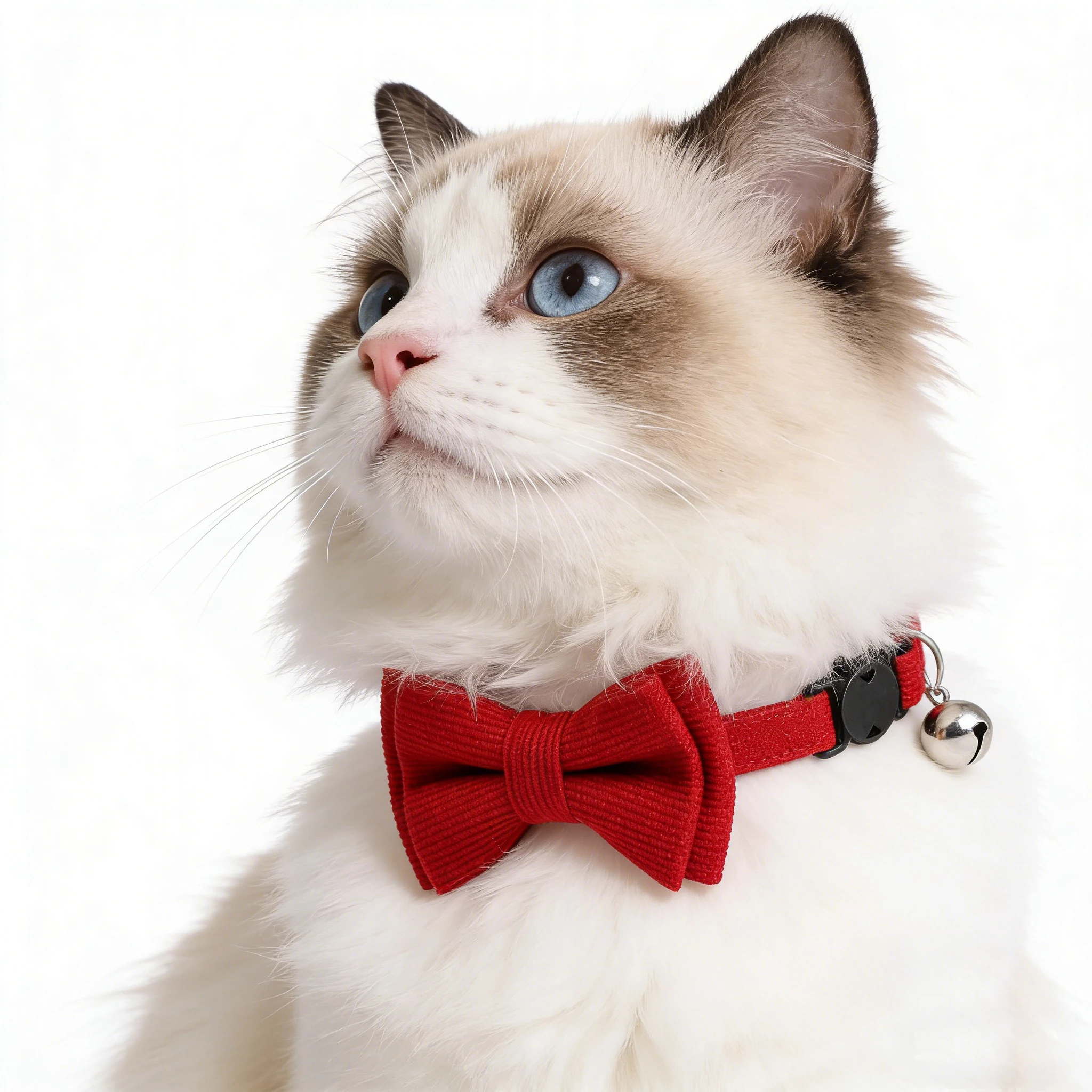 SucadoPet Katzenhalsband mit Roter Fliege Schnellverschluss Valentinstag Hochzeit Party Breakaway Katzenhalsband Schleifendesign Haustierzubehör – Detail 9
