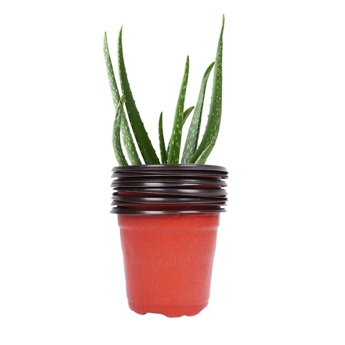 

60Pcs Plastic Flower Pots Lightweight Breathable Nursery Seedling Plant Containers for Transplanting and Starting