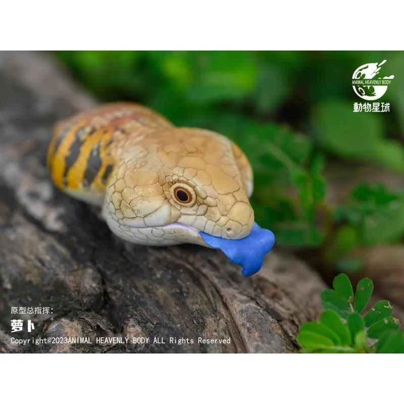 Original Animal Planet A Series Laugh and Grow Fat Lizard Iguana Qversion Anime Action Figure Model Toy Gift Collection Ornament