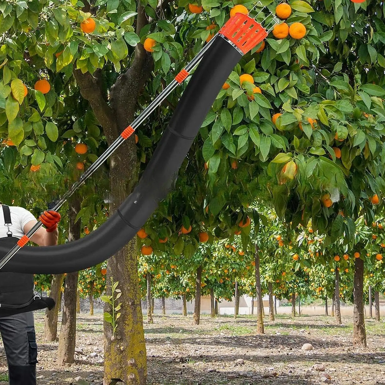 Fruit Picker Pole with Harvest Bag for Continuous Harvesting Pears Garden