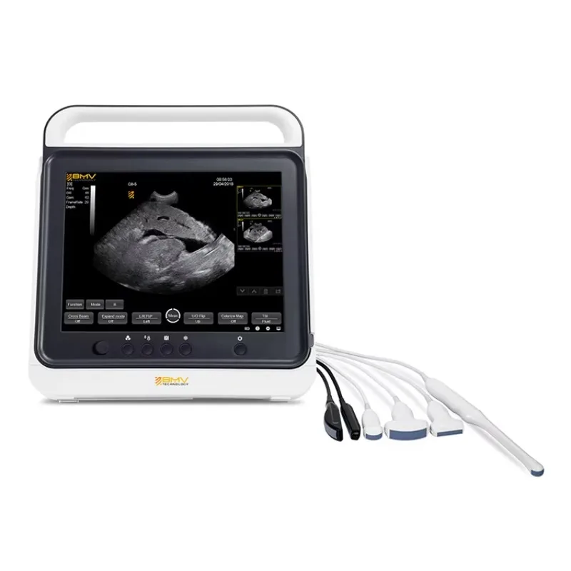 Professional Touchable Veterinary Instrument B/W Animal Ultrasound Machine Reusable Anesthesia Properties for Cat Dog Pet
