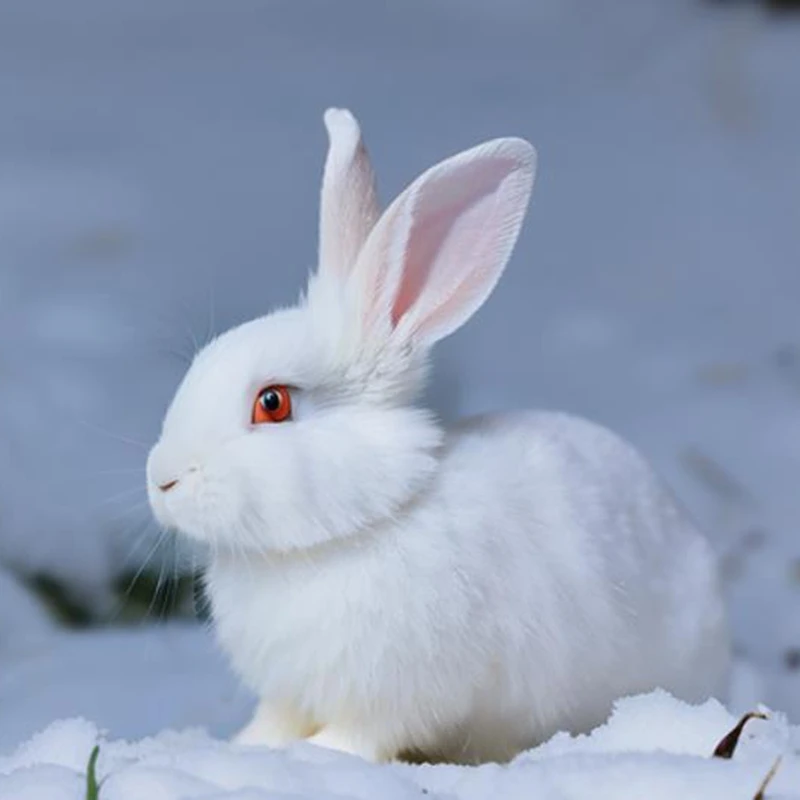 

Big&Famous Brand Rabbit Ceramic Tabbleware