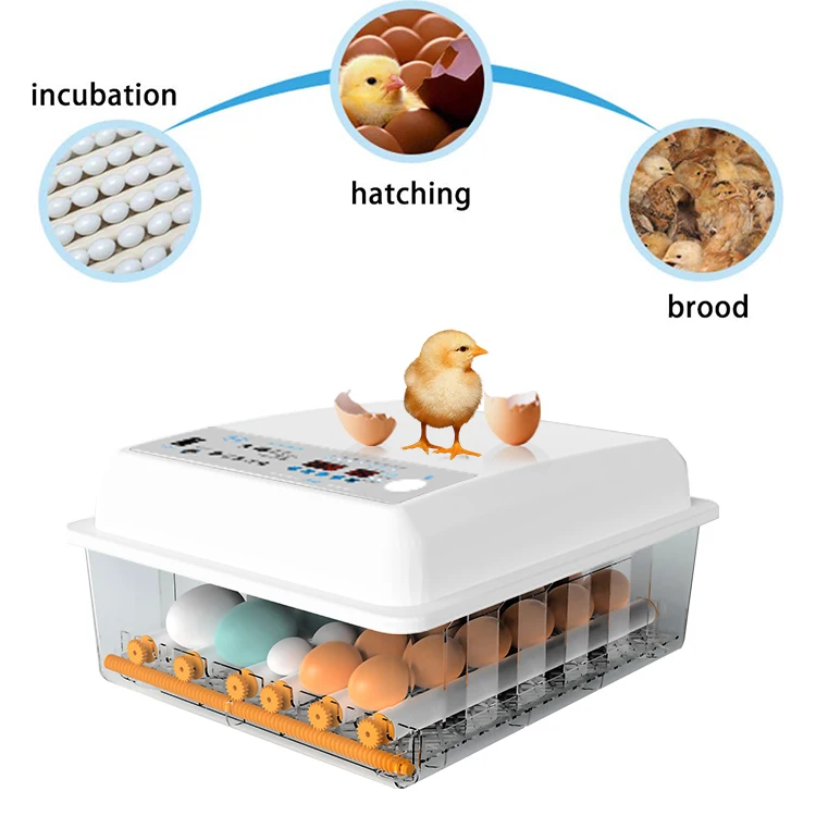 

220V/12V Dual Power Mini Chicken Ostrich Duck Quail Turkey Incubator Hatching Machine New Condition Egg Incubators For Sale