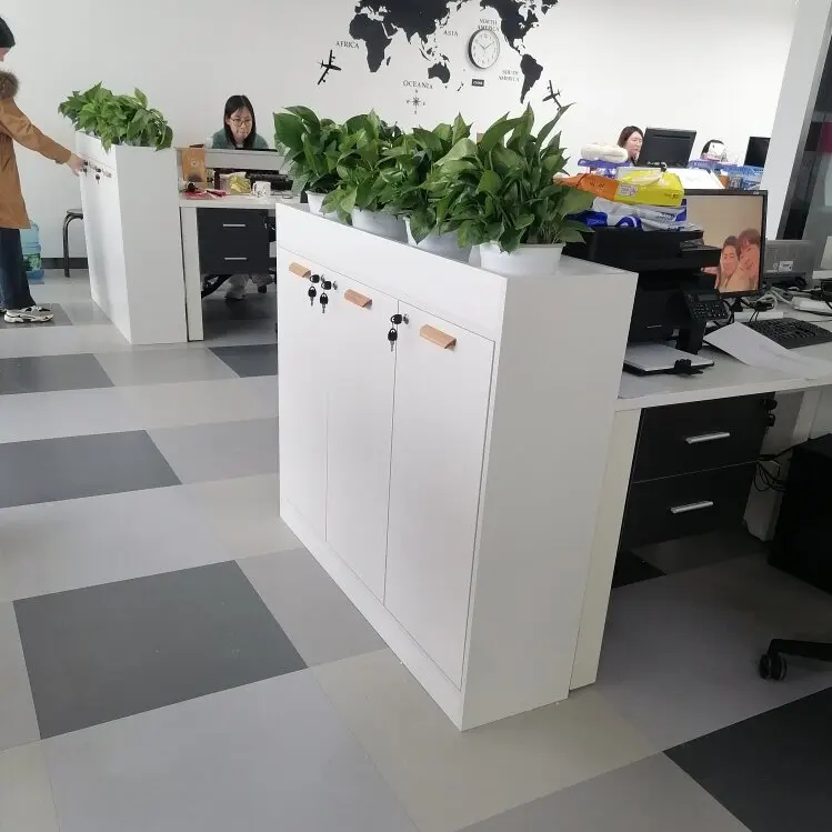

Office Flower Groove Cabinet Partition File Cabinet Low Cabinet Simple Information