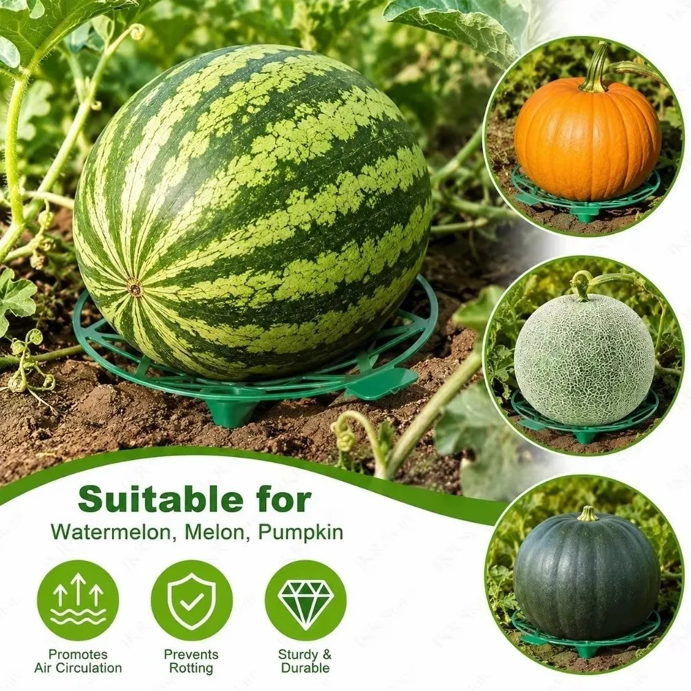 Durable Plastic Watermelon Stand Stable Design Anti- Rotting Fruit Tray Plant Support Hollow Out Fruit Bracket Gardening Use