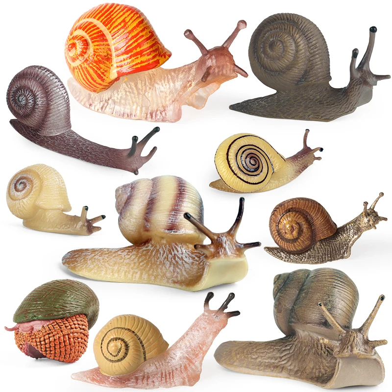Oenux الحيوانات البرية القواقع دورة النمو نموذج عمل الشكل التماثيل البلاستيكية مصغرة لطيف التعليم لعب الاطفال