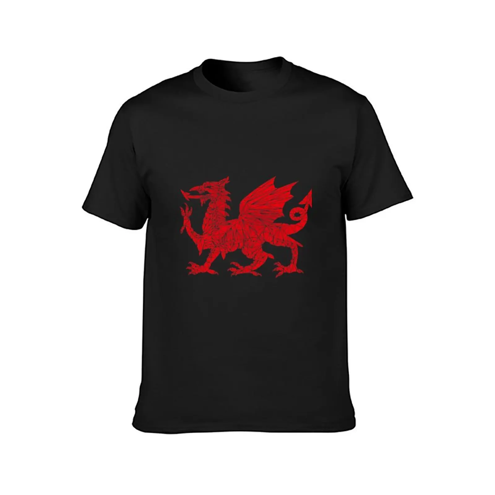 Welsh Dragon - Geometric T-Shirt vintage clothes for a boy tops men clothes