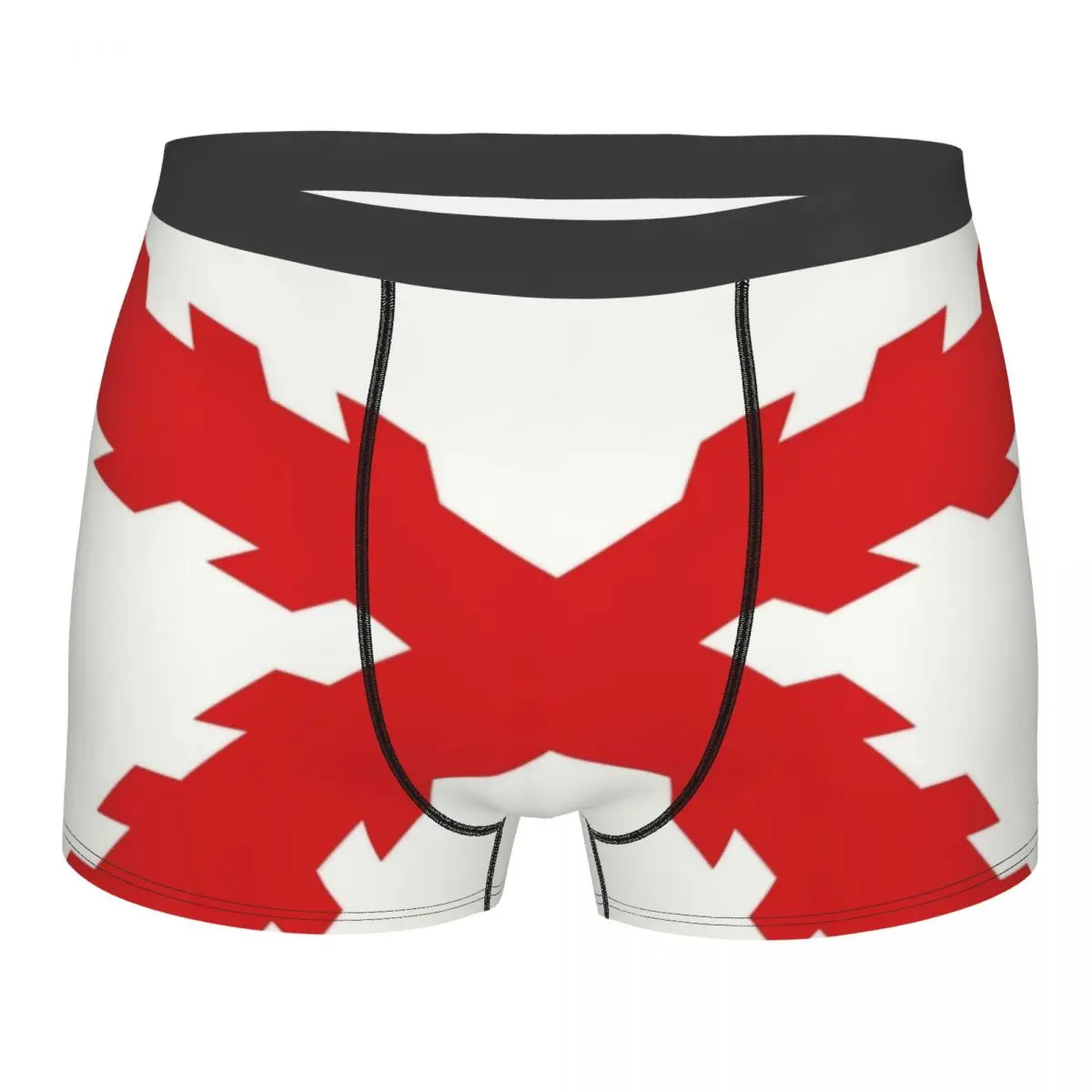 

Мужские трусы-боксеры с принтом флага Бургундии, сексуальные, на заказ, в стиле Испанской империи