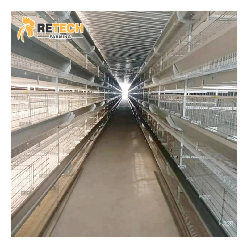 

Большие многослойные клетки типа H. Оборудование для птицы. Курятник в Нигерии.