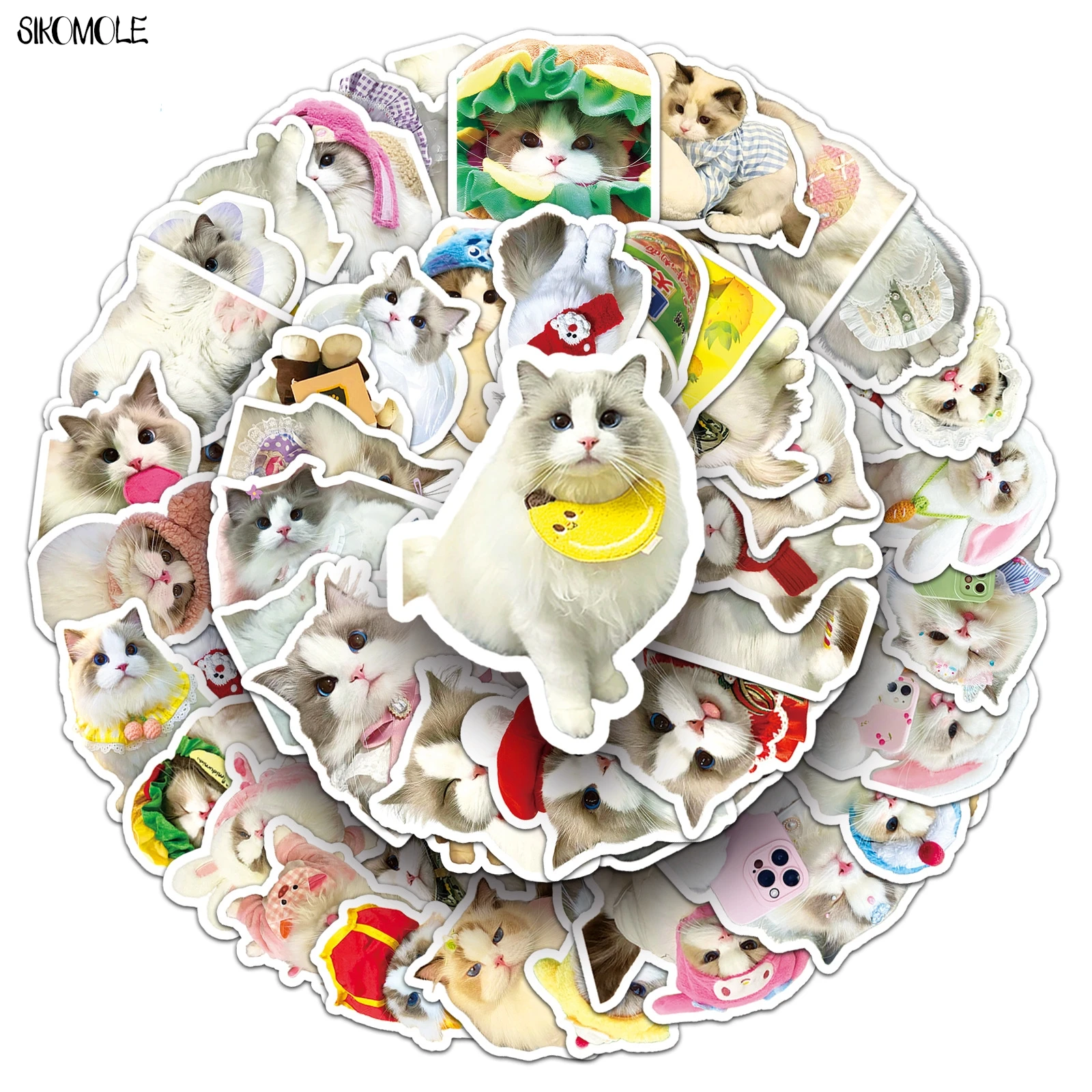 10/30/50PCS น่ารักการ์ตูน Ragdoll รถสติกเกอร์ Kawaii สัตว์ความงามสําหรับ DIY เด็กกระเป๋าเดินทาง Decal Graffiti สติกเกอร์แพ็ค