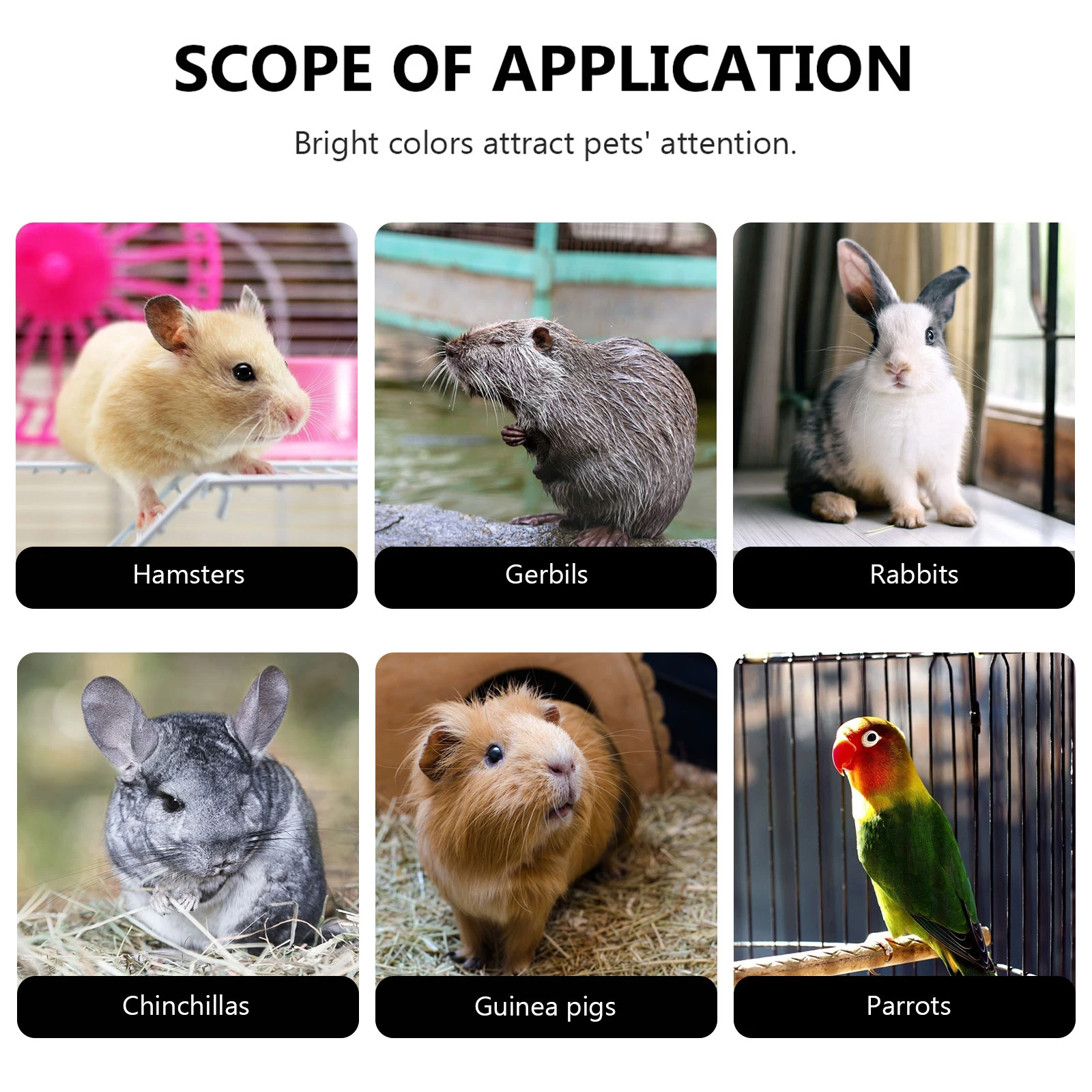 

15Pcs Mineral Chew Stone for Pet Teeth Care Calcium-Rich Gnawing Supplement for Rabbit Hamster Guinea Pig Cage