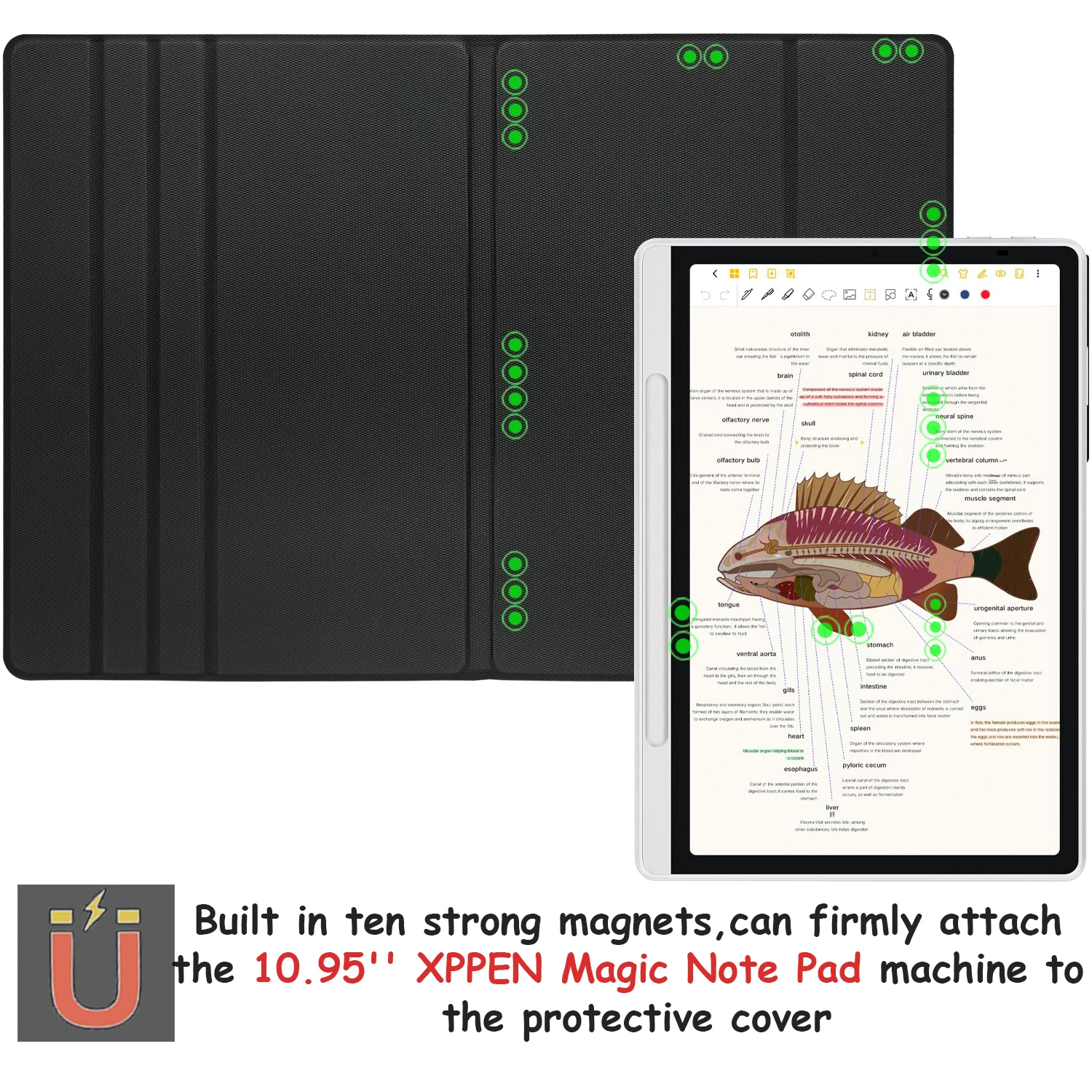 Magnetic Stand Folio Case for 10.95'' XPPen Magic Note Pad (2025) Tablet Ultra-Thin Cover - Pen Buckle & Auto Sleep/Wake view 2