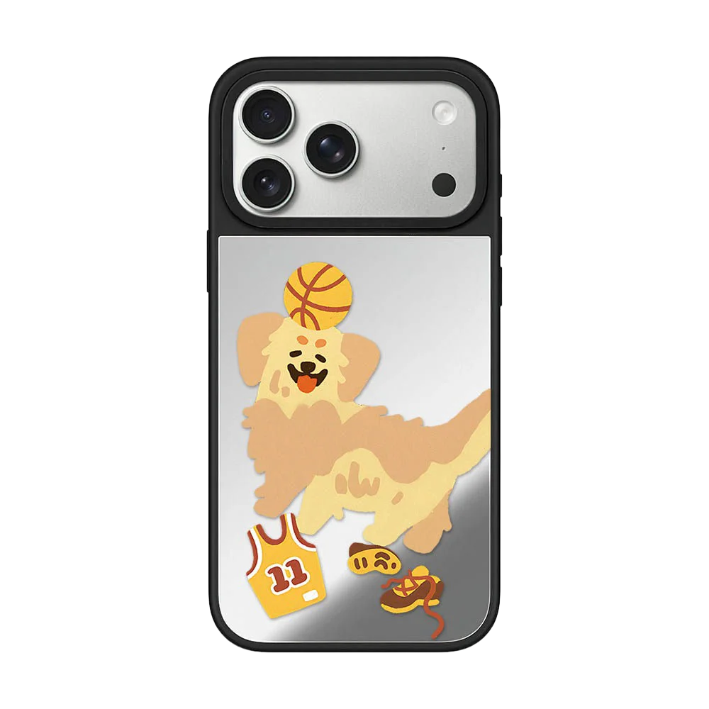 6041744 Acrylic / Mirror Magnetic Case: Compatible with IPhone 17 16 15 14 13 12 Pro Max 17 Air