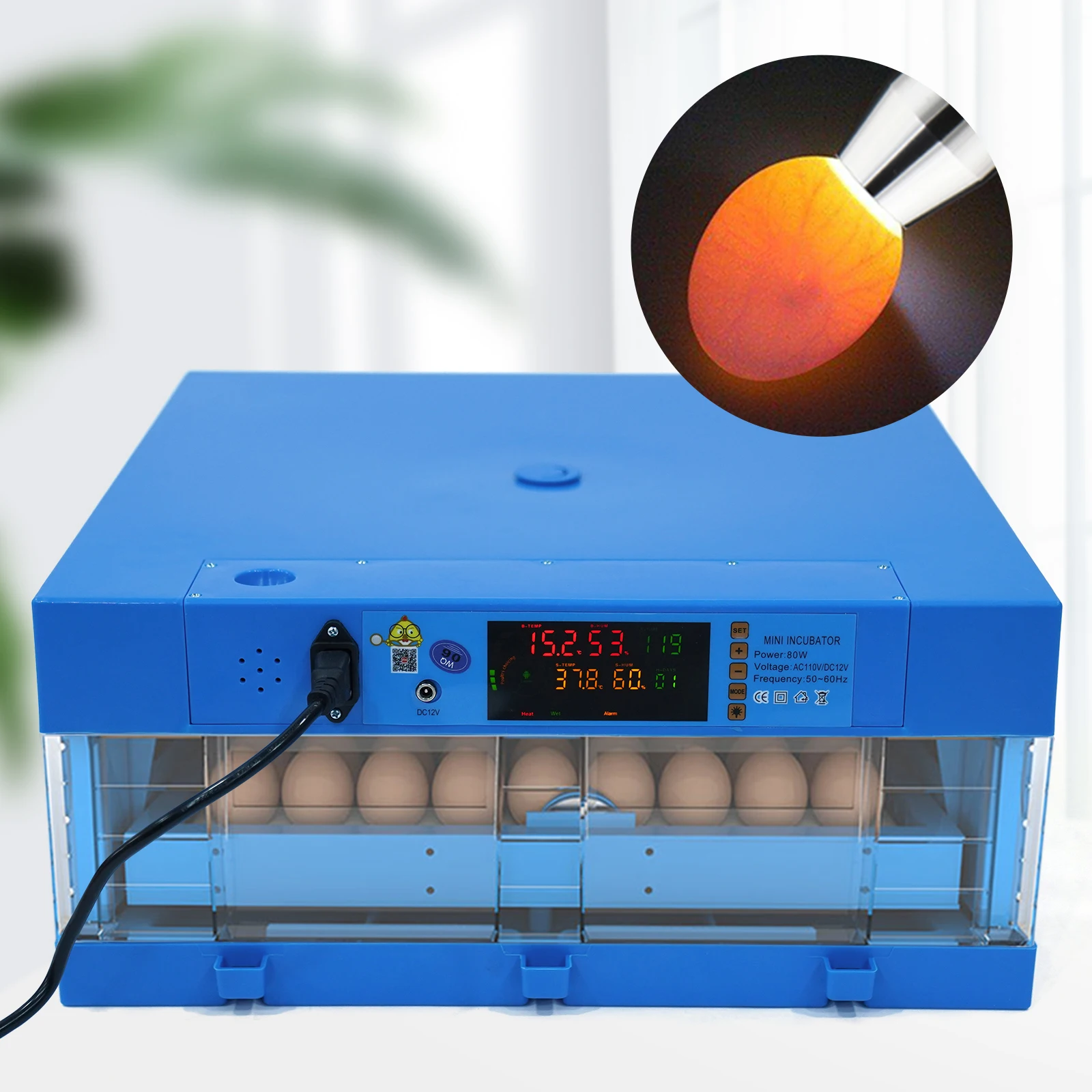 110V/12V Blue Incubator Automatic Smart Household Mini Chicken Egg Water Bed Box